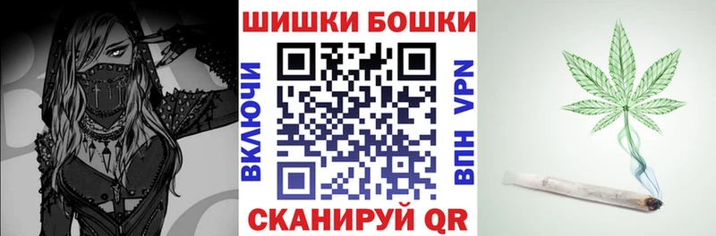 дарнет шоп  Алагир  Марихуана сатива 